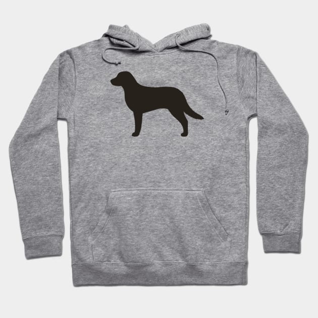 Chesapeake Bay Retriever Silhouette Hoodie by Coffee Squirrel